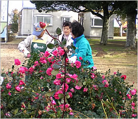 �K�[�f�j���O